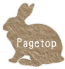 Pagetop